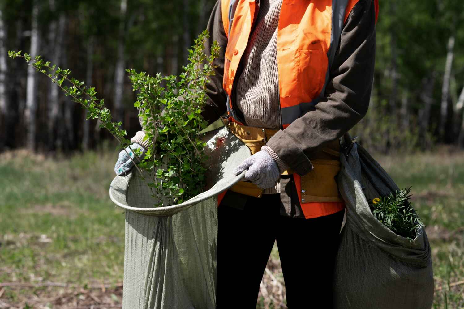 Reliable Bradford Woods, PA Tree Service Solutions